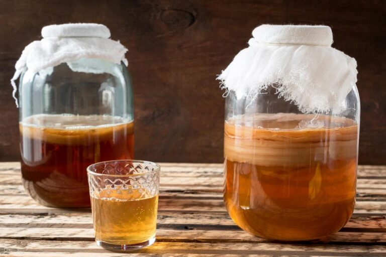 Manfaat-Teh-Kombucha-yang-Baik-Untuk-Tubuh-1024x683