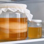 Cara Menyimpan Scoby Kombucha agar Tetap Awet dan Berkualitas Tinggi di Rumah